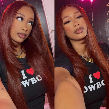 Straight 13X4 Glueless Synthetic HD Lace Front Wig